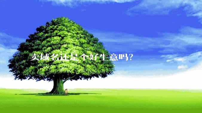 卖域名还是个好生意吗？