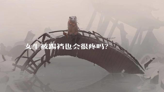 女生被踢裆也会很疼吗？