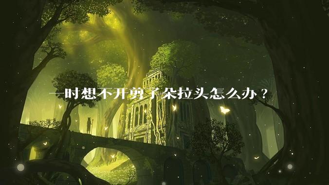 一时想不开剪了朵拉头怎么办?