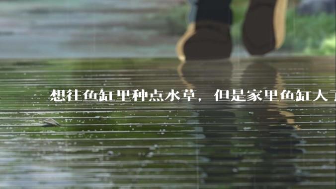 想往鱼缸里种点水草，但是家里鱼缸大了买水草泥或者底砂太贵了，有没有生活中可以替代的物品或其他建议？