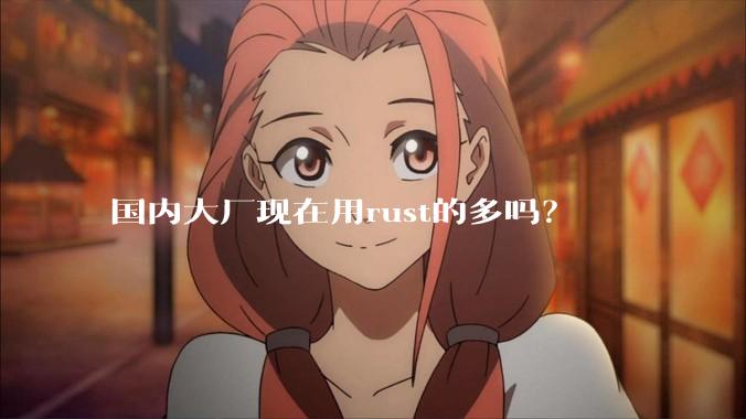 国内大厂现在用rust的多吗？